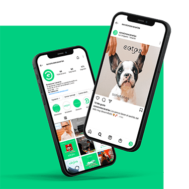 feed-para-web-14_low_res